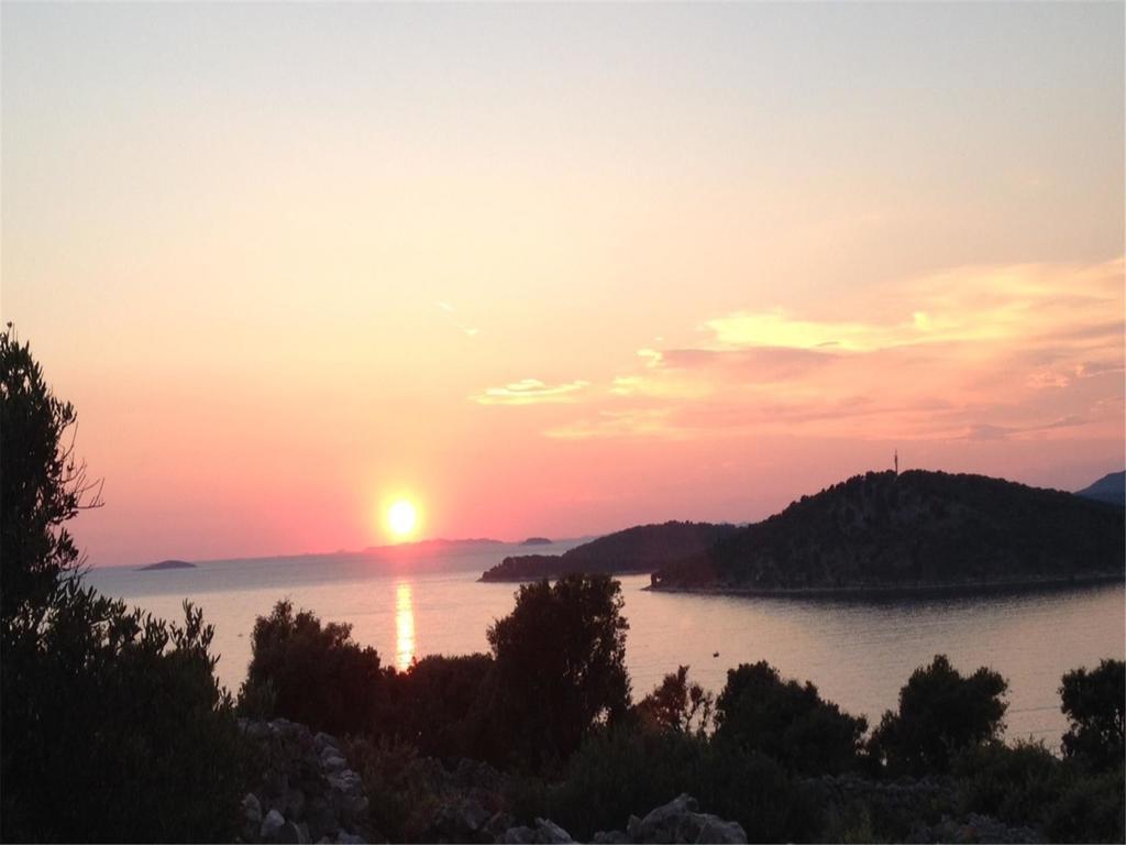 Apartments Dario Ražanj Εξωτερικό φωτογραφία